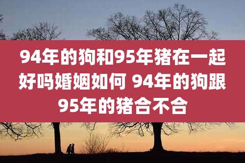 94年的狗和95年猪在一起好吗婚姻如何 94年的狗跟95年的猪合不合