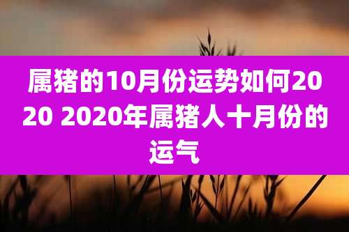 属猪的10月份运势如何2020 2020年属猪人十月份的运气
