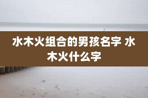 水木火组合的男孩名字 水木火什么字