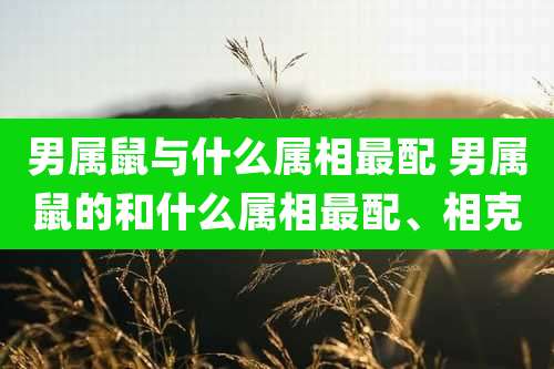 男属鼠与什么属相最配 男属鼠的和什么属相最配、相克