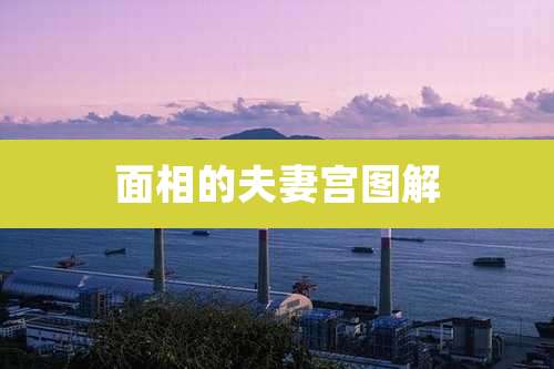 面相的夫妻宫图解
