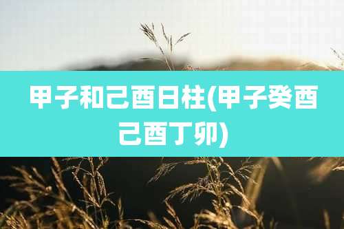 甲子和己酉日柱(甲子癸酉己酉丁卯)