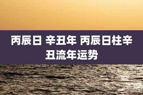 丙辰日 辛丑年 丙辰日柱辛丑流年运势