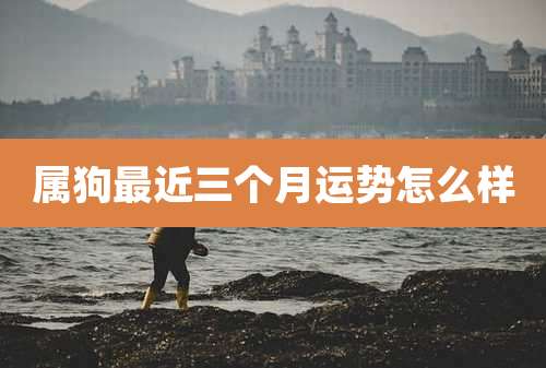 属狗最近三个月运势怎么样