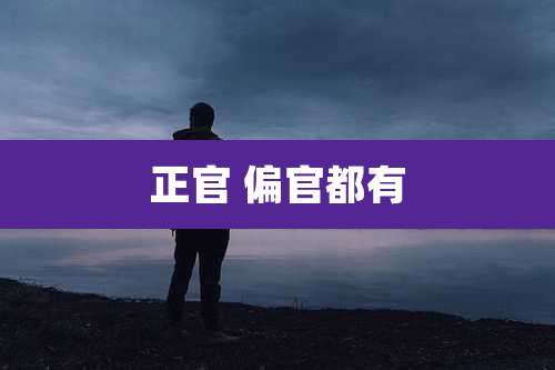 正官 偏官都有