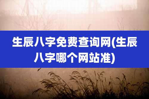 生辰八字免费查询网(生辰八字哪个网站准)