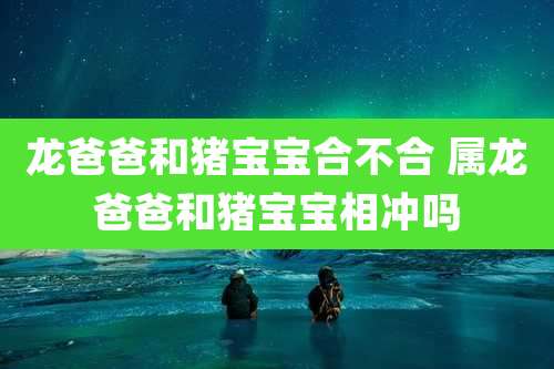 龙爸爸和猪宝宝合不合 属龙爸爸和猪宝宝相冲吗