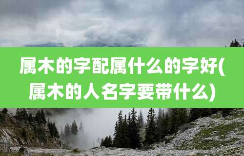 属木的字配属什么的字好(属木的人名字要带什么)