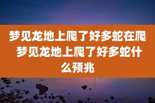 梦见龙地上爬了好多蛇在爬 梦见龙地上爬了好多蛇什么预兆