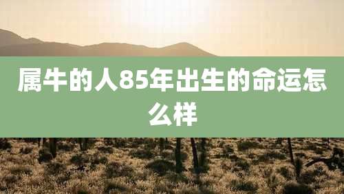 属牛的人85年出生的命运怎么样