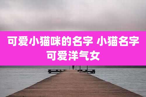 可爱小猫咪的名字 小猫名字可爱洋气女