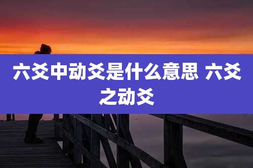 六爻中动爻是什么意思 六爻之动爻
