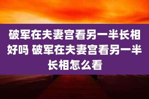 破军在夫妻宫看另一半长相好吗 破军在夫妻宫看另一半长相怎么看