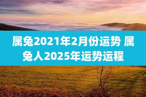 属兔2021年2月份运势 属兔人2025年运势运程