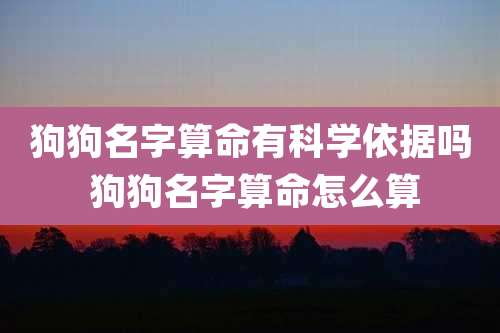 狗狗名字算命有科学依据吗 狗狗名字算命怎么算