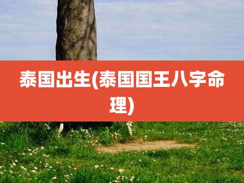 泰国出生(泰国国王八字命理)