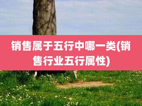 销售属于五行中哪一类(销售行业五行属性)