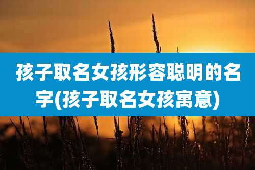 孩子取名女孩形容聪明的名字(孩子取名女孩寓意)