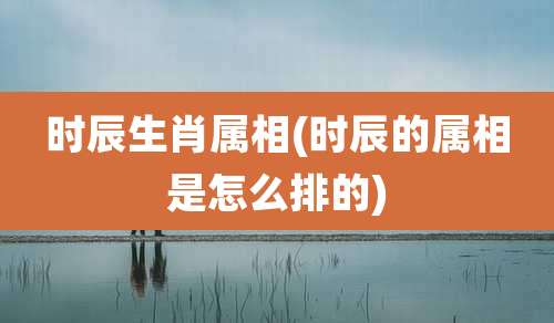时辰生肖属相(时辰的属相是怎么排的)
