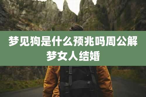 梦见狗是什么预兆吗周公解梦女人结婚