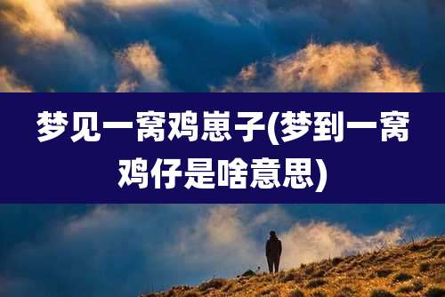 梦见一窝鸡崽子(梦到一窝鸡仔是啥意思)