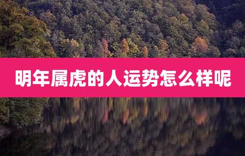 明年属虎的人运势怎么样呢