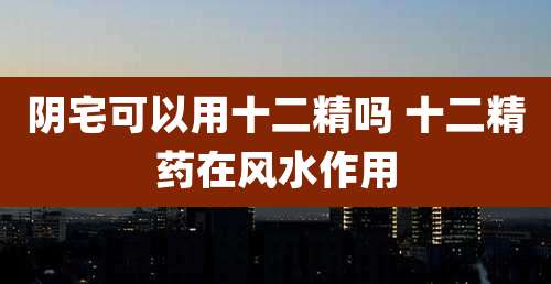 阴宅可以用十二精吗 十二精药在风水作用