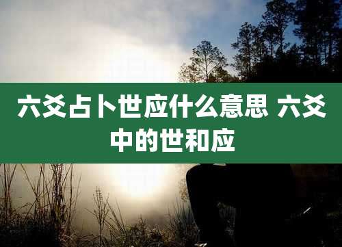 六爻占卜世应什么意思 六爻中的世和应