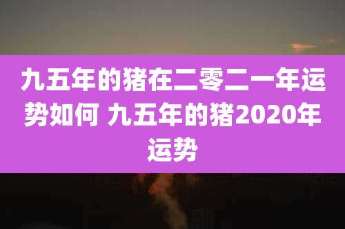 九五年的猪在二零二一年运势如何 九五年的猪2020年运势