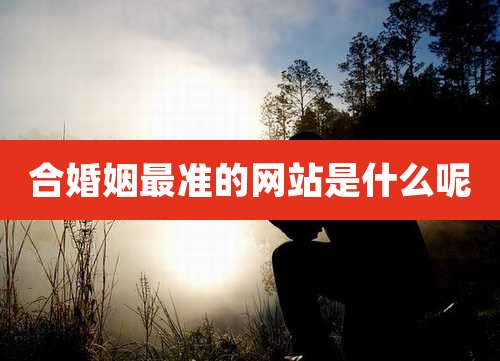 合婚姻最准的网站是什么呢