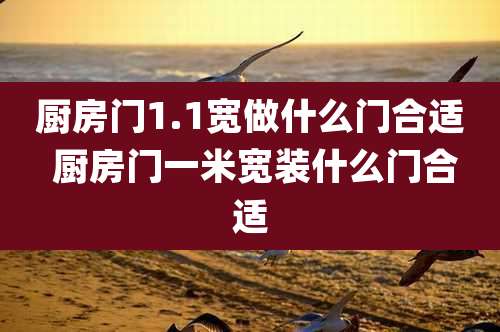 厨房门1.1宽做什么门合适 厨房门一米宽装什么门合适