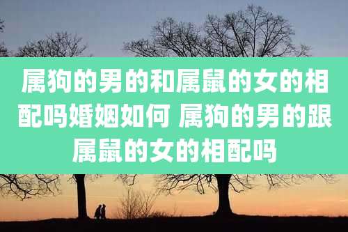 属狗的男的和属鼠的女的相配吗婚姻如何 属狗的男的跟属鼠的女的相配吗