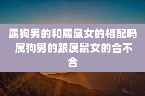 属狗男的和属鼠女的相配吗 属狗男的跟属鼠女的合不合