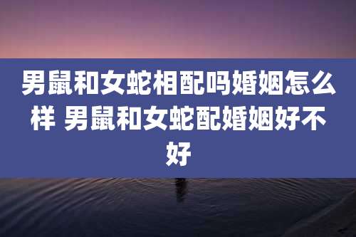 男鼠和女蛇相配吗婚姻怎么样 男鼠和女蛇配婚姻好不好