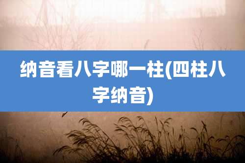 纳音看八字哪一柱(四柱八字纳音)