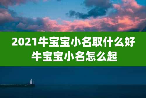 2021牛宝宝小名取什么好 牛宝宝小名怎么起