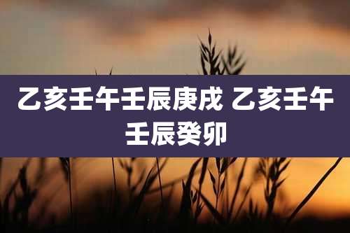 乙亥壬午壬辰庚戌 乙亥壬午壬辰癸卯