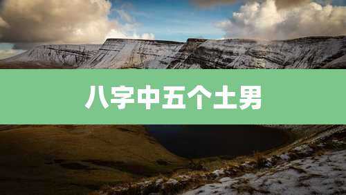 八字中五个土男