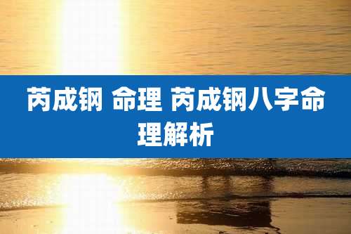 芮成钢 命理 芮成钢八字命理解析