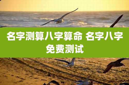 名字测算八字算命 名字八字免费测试