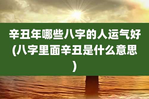辛丑年哪些八字的人运气好(八字里面辛丑是什么意思)