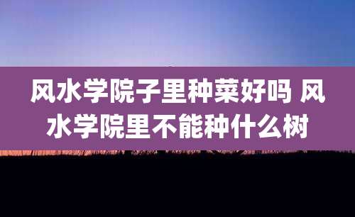 风水学院子里种菜好吗 风水学院里不能种什么树