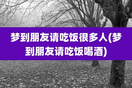梦到朋友请吃饭很多人(梦到朋友请吃饭喝酒)