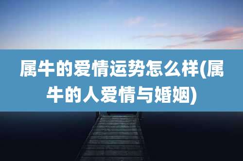 属牛的爱情运势怎么样(属牛的人爱情与婚姻)