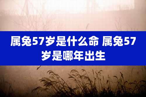 属兔57岁是什么命 属兔57岁是哪年出生
