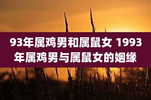 93年属鸡男和属鼠女 1993年属鸡男与属鼠女的姻缘