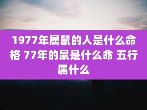 1977年属鼠的人是什么命格 77年的鼠是什么命 五行属什么