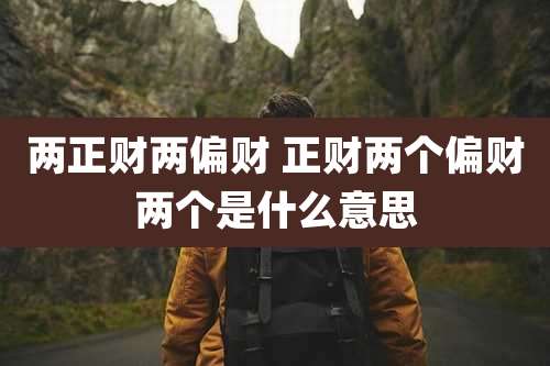两正财两偏财 正财两个偏财两个是什么意思