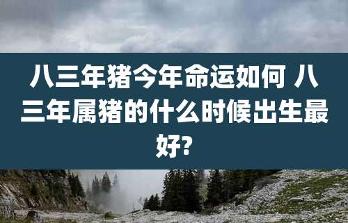 八三年猪今年命运如何 八三年属猪的什么时候出生最好?