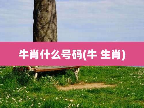 牛肖什么号码(牛 生肖)